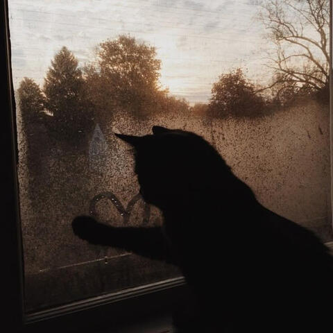 Upbeat beats for a great summer