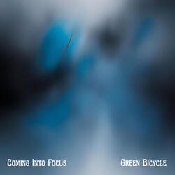 Coming Into Focus
