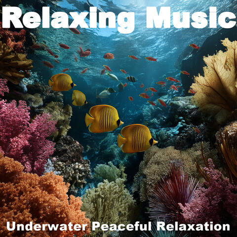 ! ! ! Relaxing Music