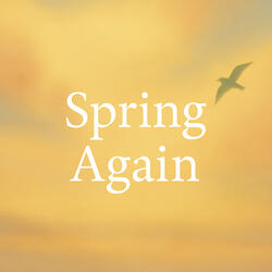 Spring Again
