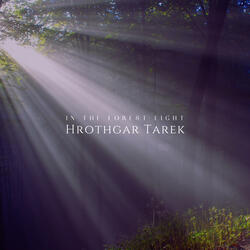 In The Forest Light