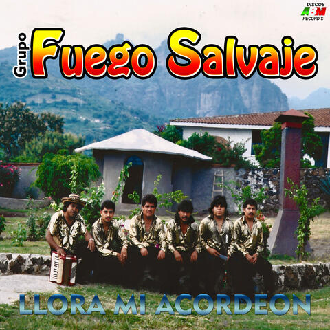 Llora mi acordeón