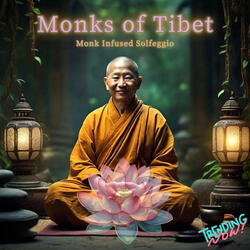 Monk Celestial Frequencies