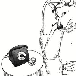 quem sabe dá certo?