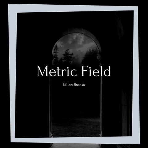 Metric Field