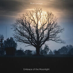 Embrace of the Moonlight