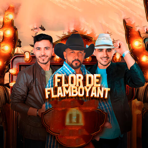 Flor de Flamboyant