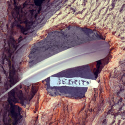 A secret my heart keeps