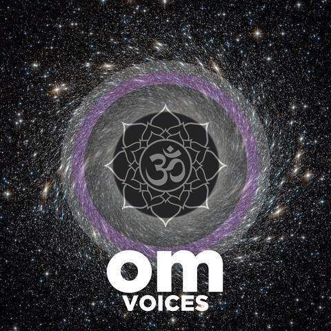 Shaolin Healing Bowl White Noise Static and Om Voice Infusion