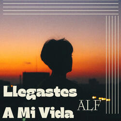 Llegastes A Mi Vida