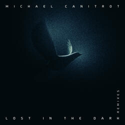 Lost in the Dark