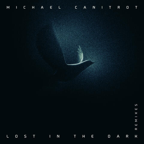 Lost in the Dark