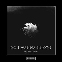 Do I Wanna Know?