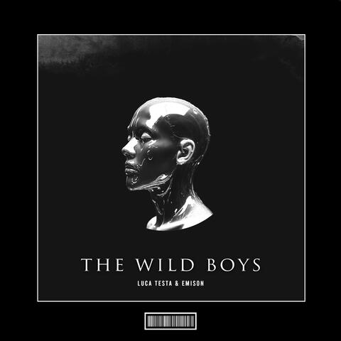 The Wild Boys