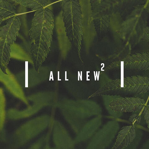 All New2