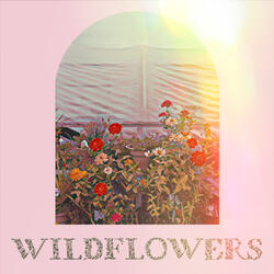 Wildflowers