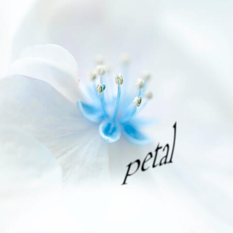 petal