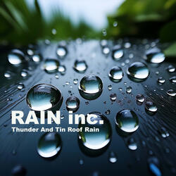 Thunder And Tin Roof Rain