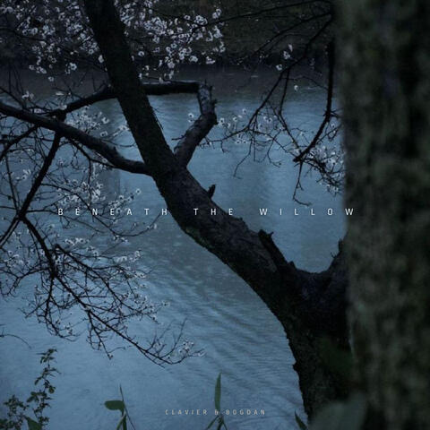 Beneath the Willow