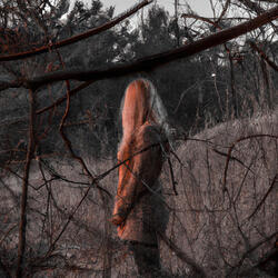 Hidden in the shadows
