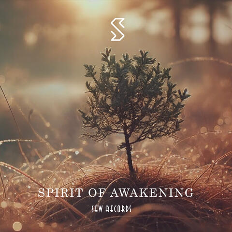 Spirit Of Awakening
