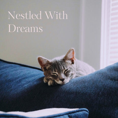 Nestled With Dreams