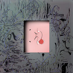 Gauze