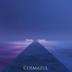 Paths Taken