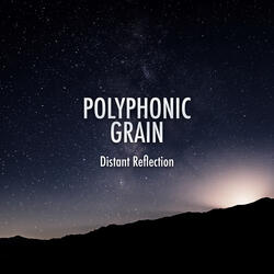 Distant Reflection