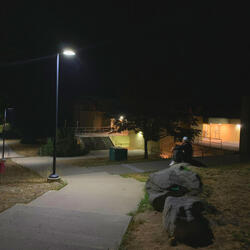 love just makes me stupid all the time