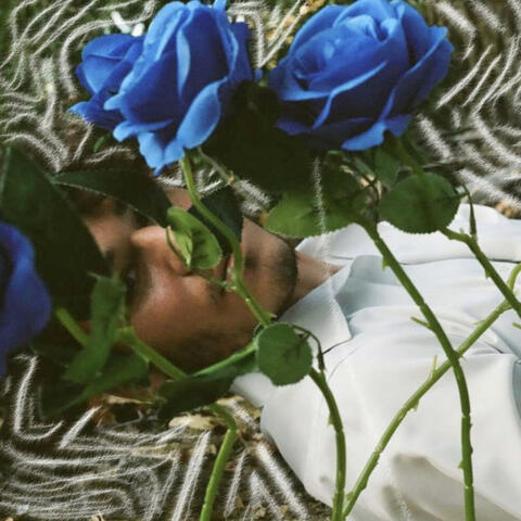 Sultry Have Gone the Roses