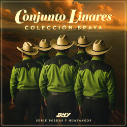 Arriba Tamatán