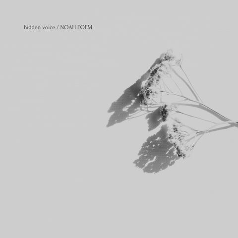 Hidden Voice