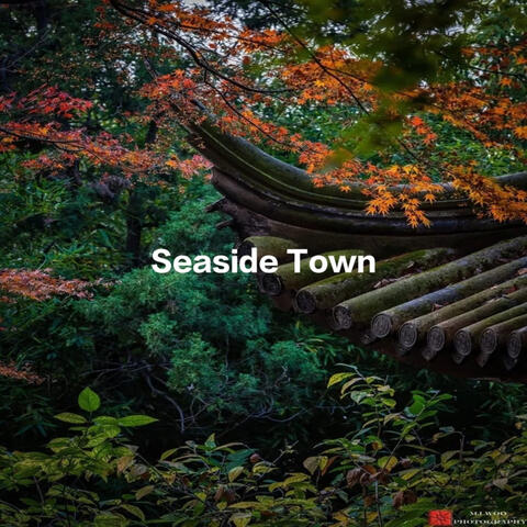 Seaside Town
