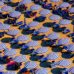 Tropic Heat