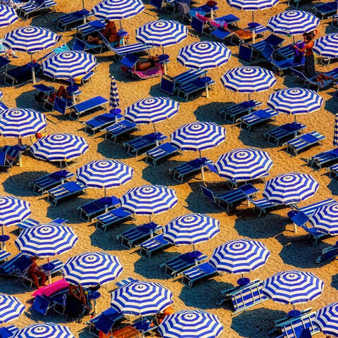 Tropic Heat