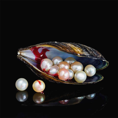 Pearls of Ocean