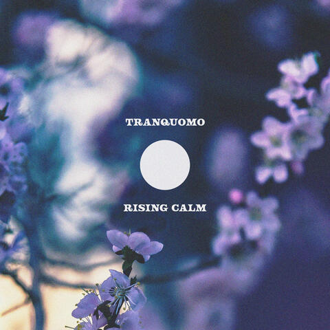 Rising Calm