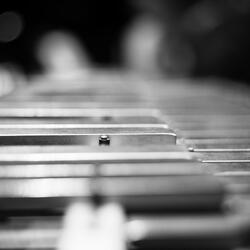 Mallet Play
