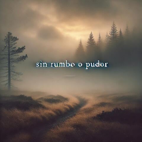 Sin rumbo o pudor