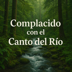 Complacido bajo la Melodía del Río
