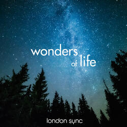 Wondrous Origins