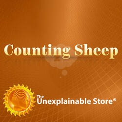 Counting Sheep Pt. 2