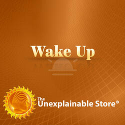 Wake Up Pt. 2