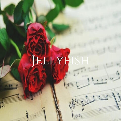 Jellyfish