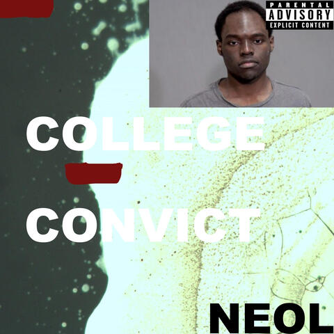 COLLEGE CONVICT
