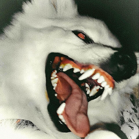wolfman