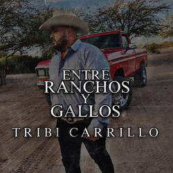 Entre Ranchos Y Gallos