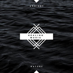 Forest Healing Waves Morning Meditation