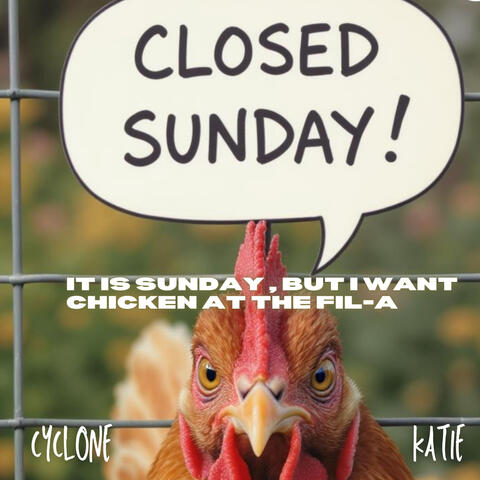 CLOSE SUNDAY - IT IS SUNDAY , BUT I WANT CHICKEN AT THE FIL-A.